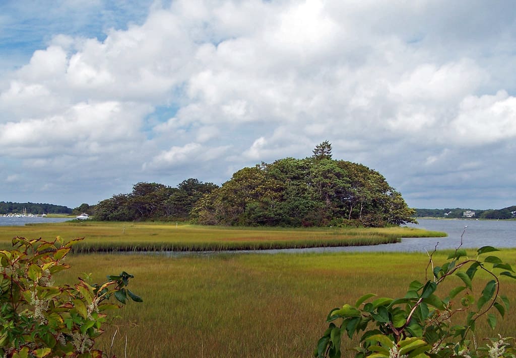 The serene natural beauty of the Mashpee National Wildlife Refuge, embodying the conservation spirit of South Cape Beach.