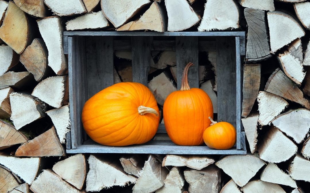 A Haunting on Cape Cod: Where to Celebrate Halloween This Year