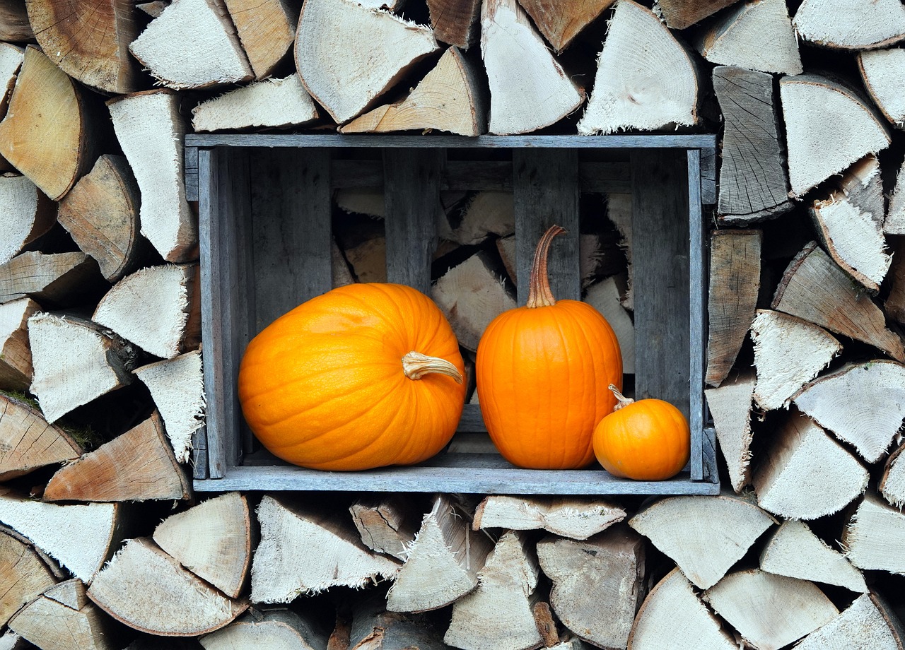 A Haunting on Cape Cod: Where to Celebrate Halloween This Year