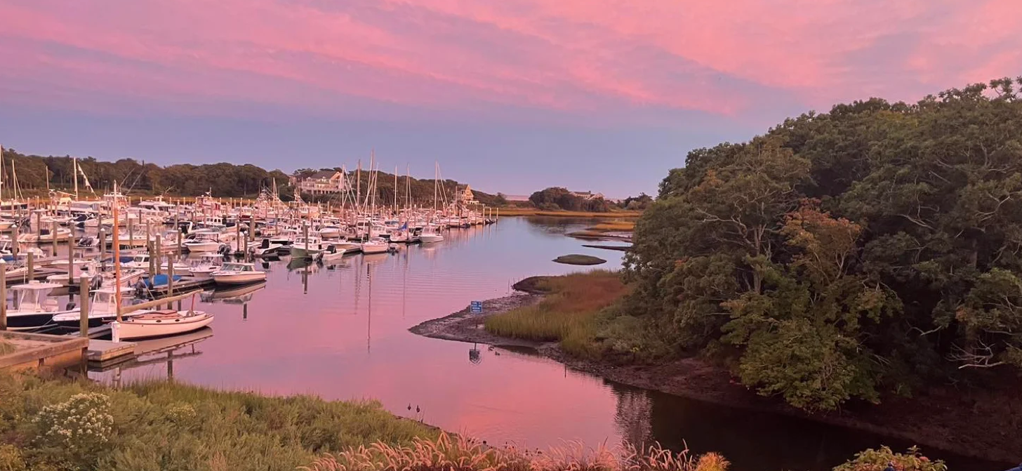 Seafood Lovers' Paradise: Explore Brax Landing's Top Dishes in Cape Cod