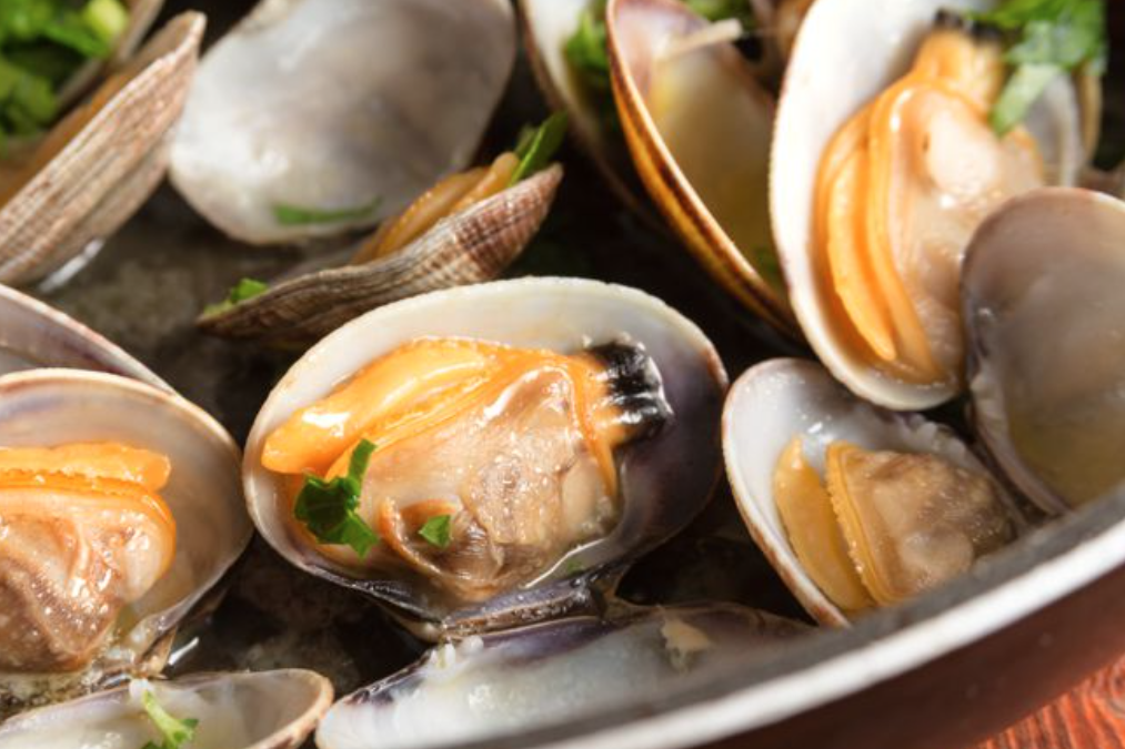 Ardeo Cape Cod: 40 Years of Farm-to-Table Innovation and Catering Mastery