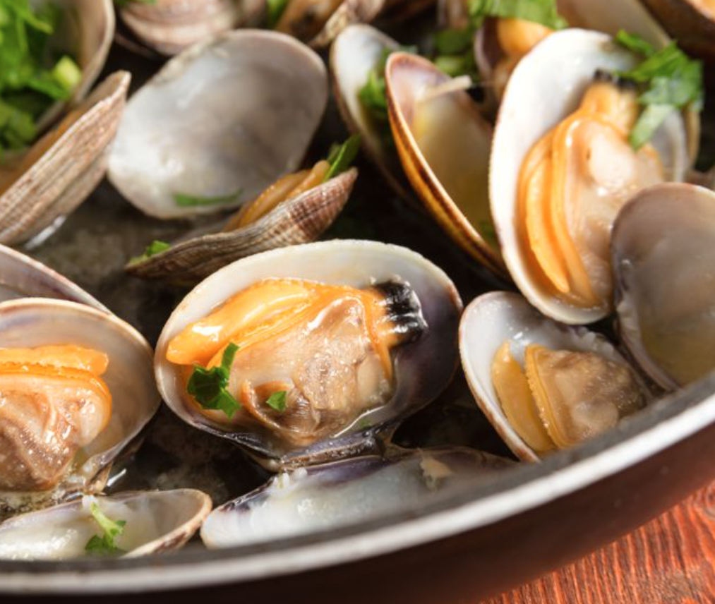 Clams