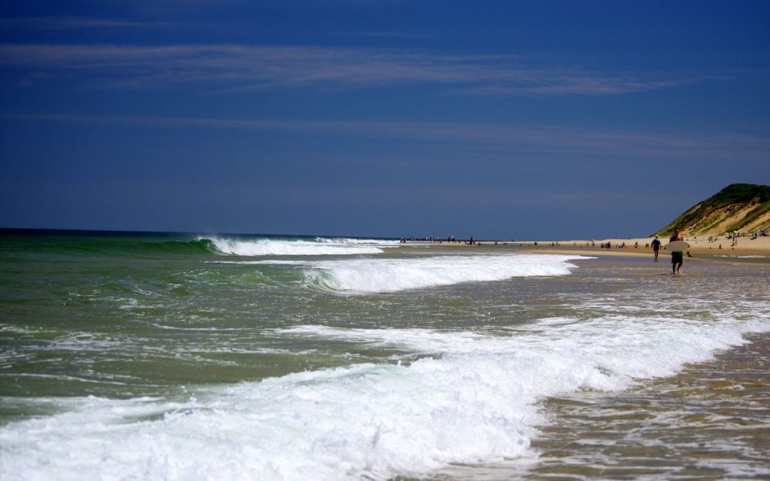 Exploring Cape Cod: A Tent Camper’s Paradise