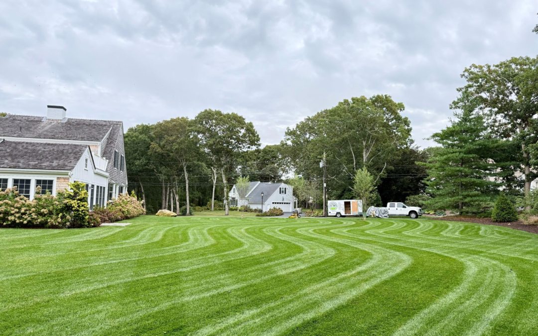 Shalom Masonry & Landscaping: Shaping Outdoor Spaces in Mashpee