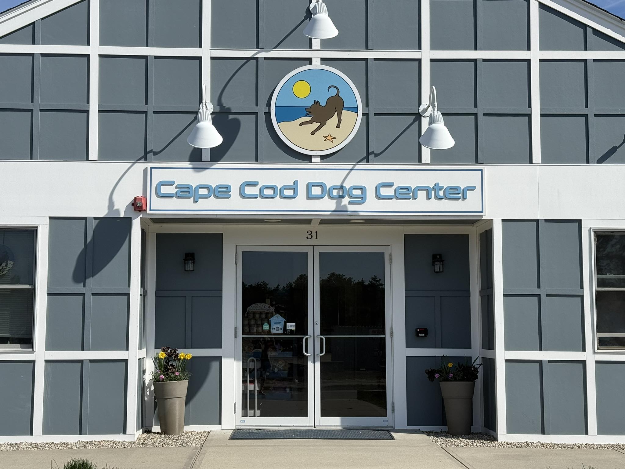 Cape Cod Dog Center in Mashpee, MA