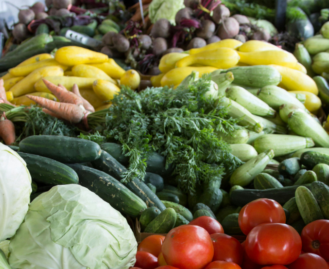 Celebrating Thanksgiving With Mashpee’s Local Farms