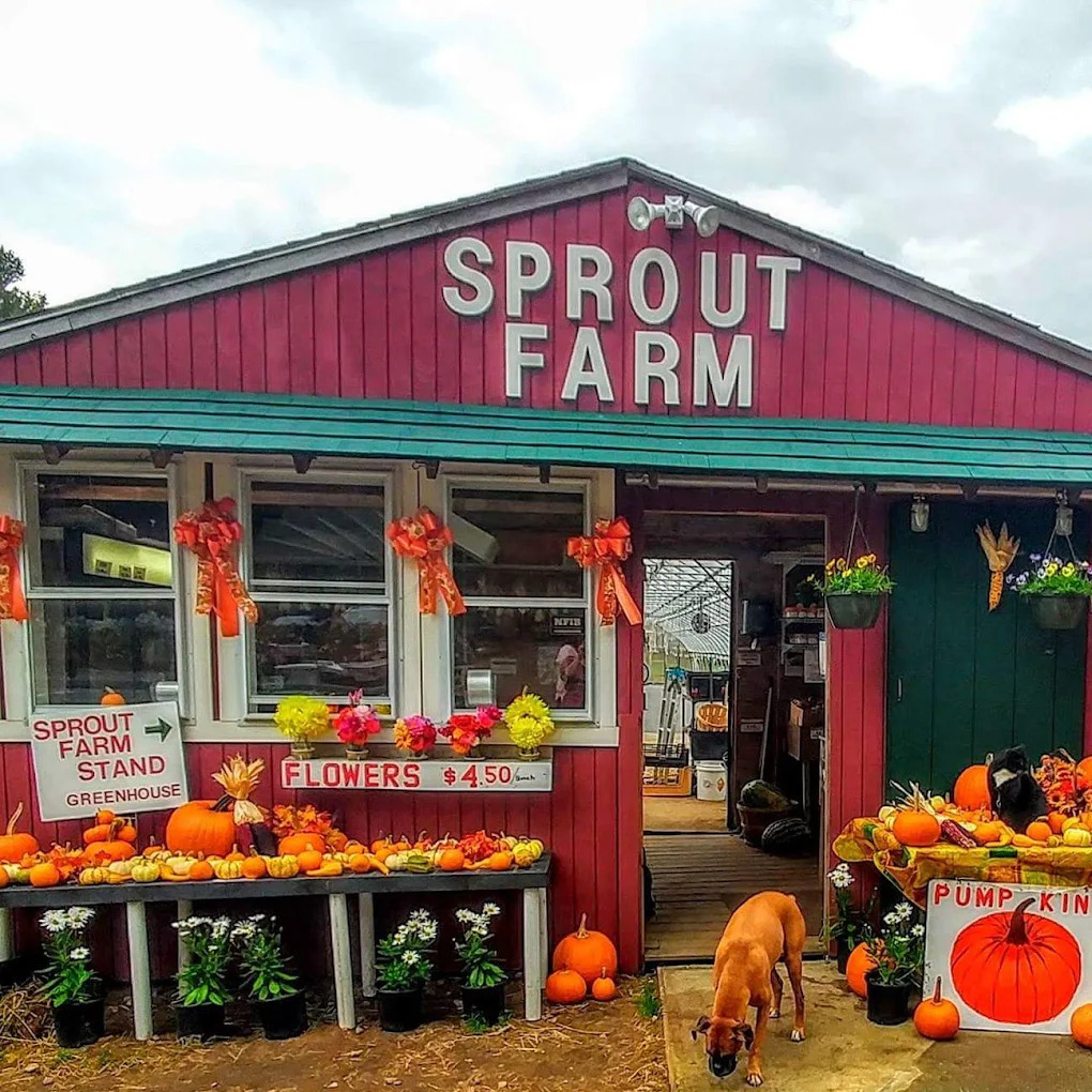 Fresh Seasonal Produce and Local Favorites at Sprout Farm Stand